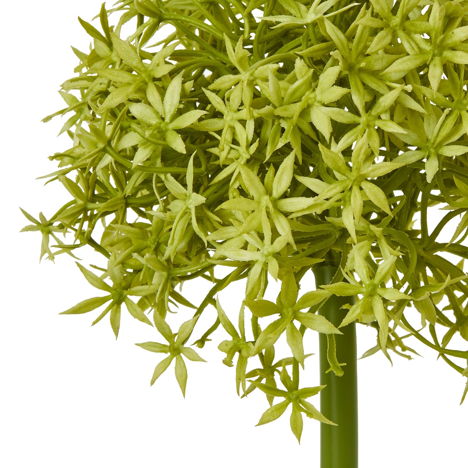 Lilac Crown Hydrangea Stem