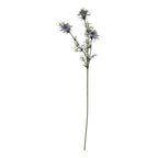 The Natural Garden Collection Purple Nigella Love In A Mist
