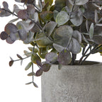 Apulia Olive Tree In White Pot 180Cm