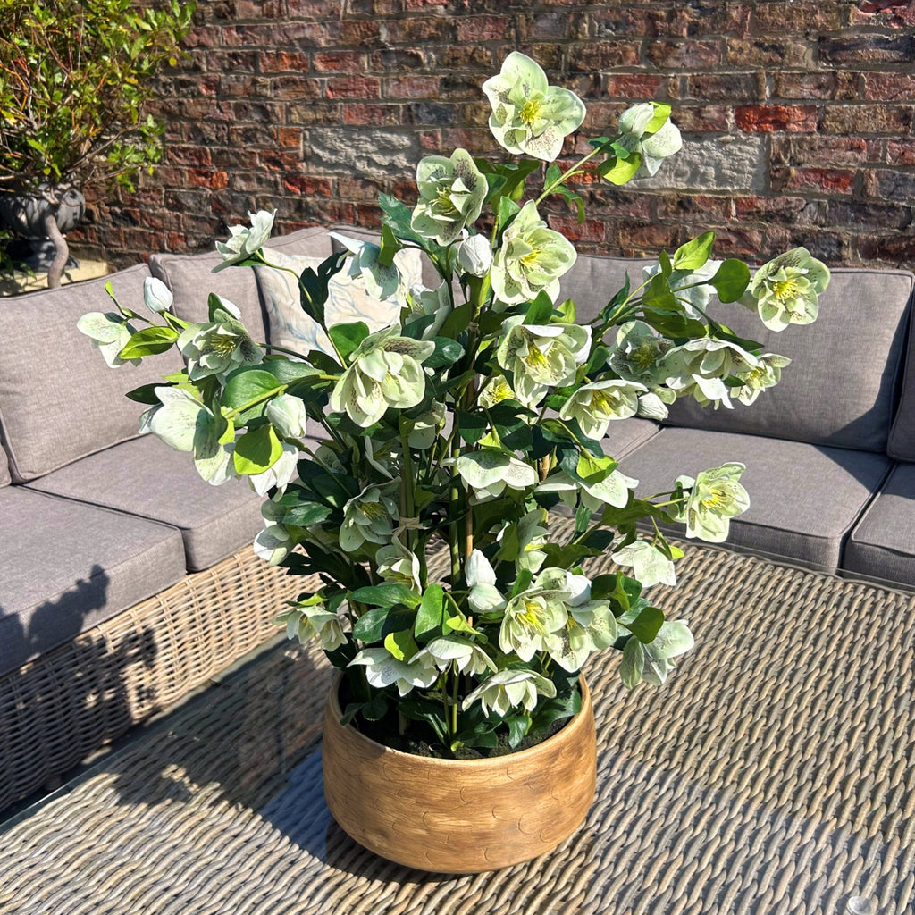 Variegated Leaf Spray