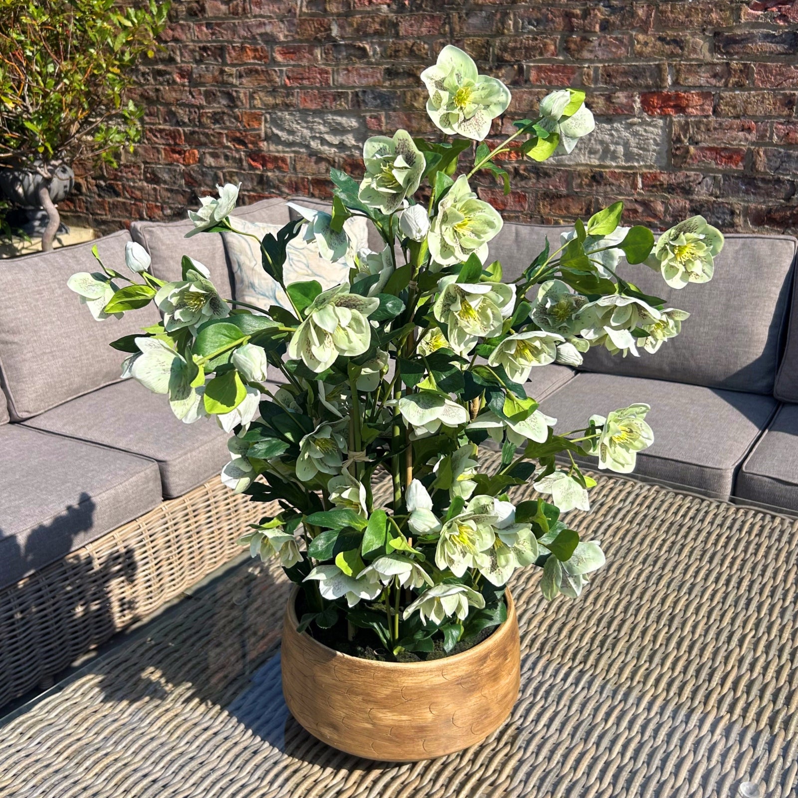 Variegated Leaf Spray