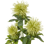 Cream Sea Holly Spray