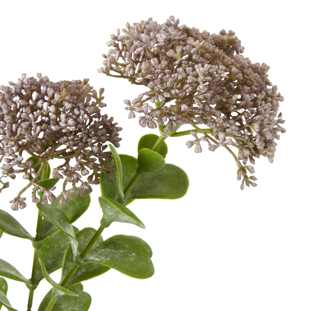 Brown Xanthium Spray