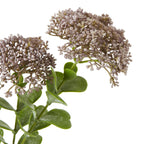 Brown Xanthium Spray