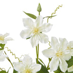 Cream Xanthium Spray