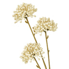 Cream Snowball Viburnum Spray