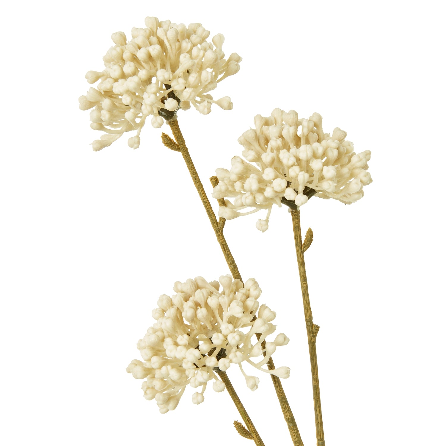 Cream Snowball Viburnum Spray