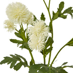 Dark Green Dianthus Stem