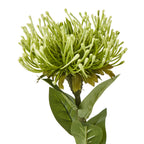 White Madonna Lily Spray
