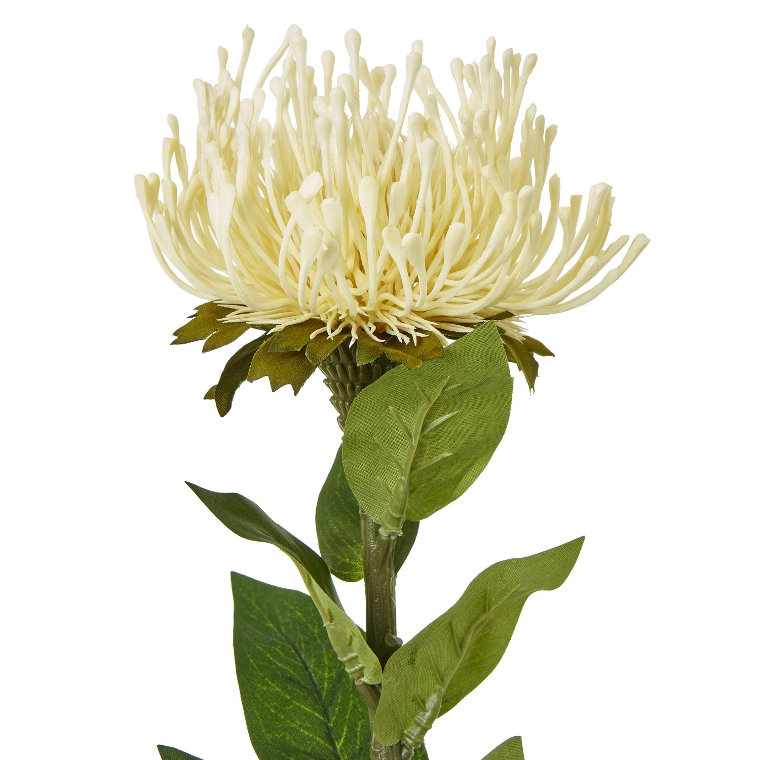 Cream Gypsophila Spray