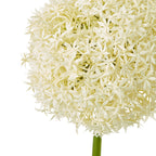 Cream Gypsophila Stem