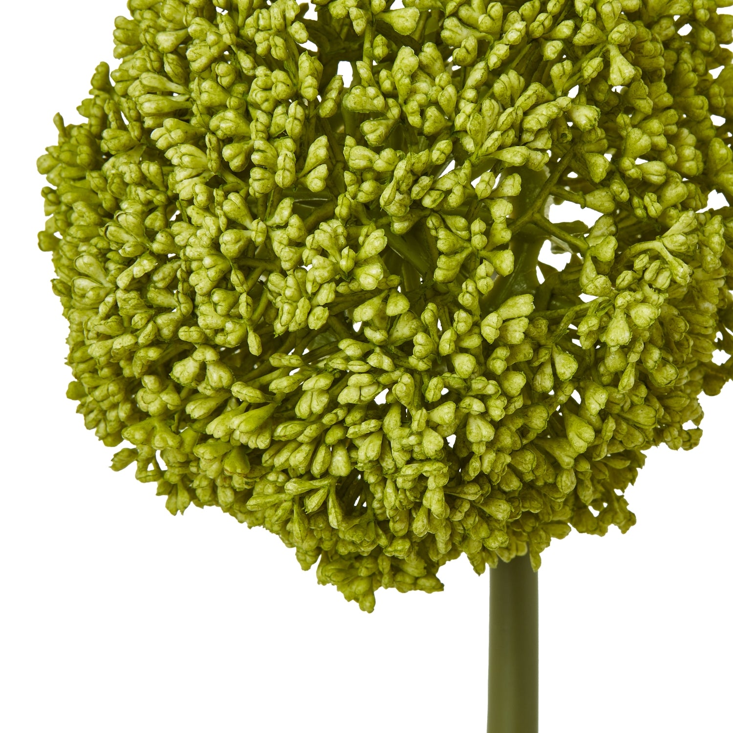Green Moss Stem