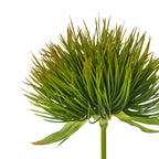 Green Giant Allium Stem