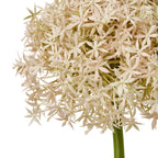 Pink Medium Allium Stem