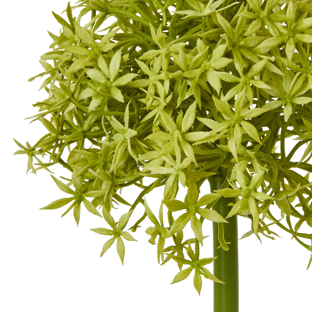 Lilac Crown Hydrangea Stem