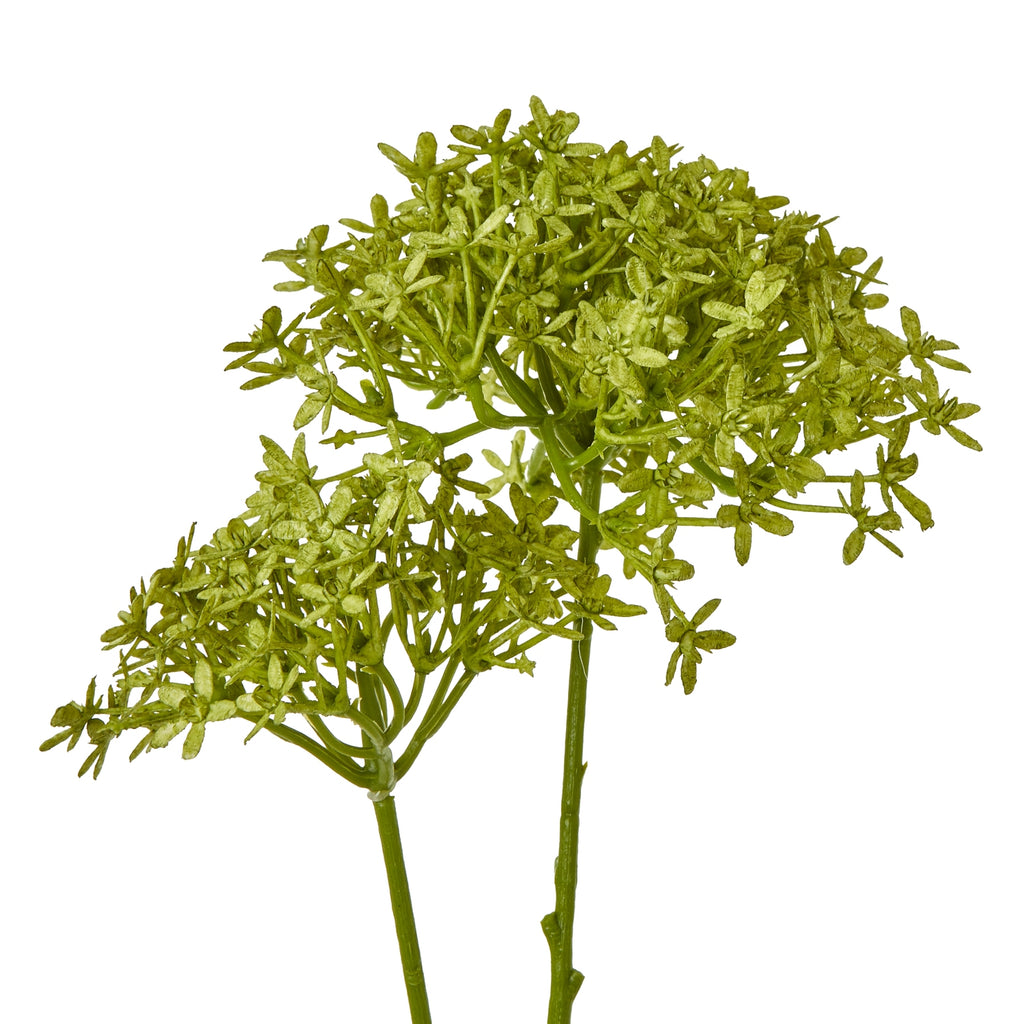 Cream Agapanthus Spray