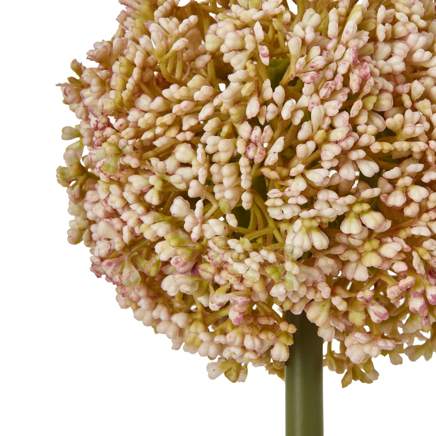 Lilac Agapanthus Spray