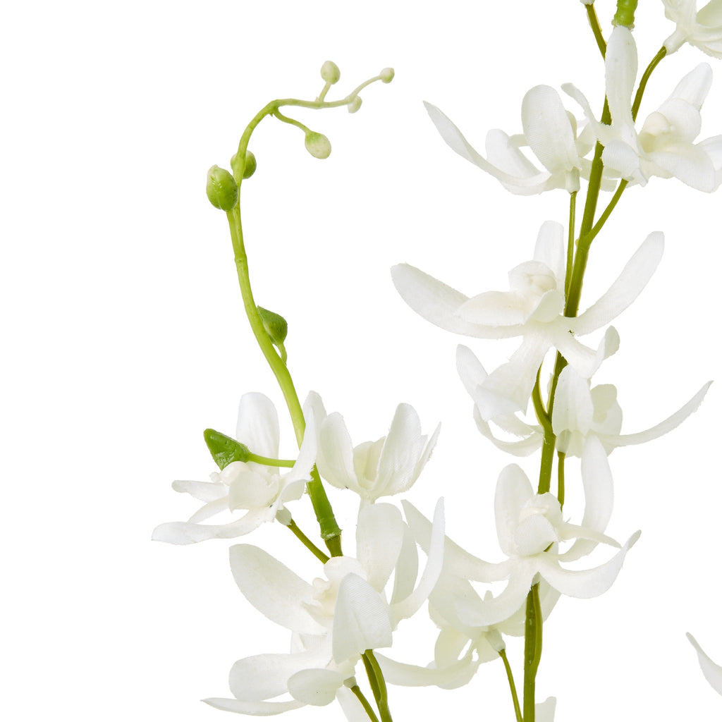Lilac Cymbidium Spray