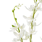 Lilac Cymbidium Spray