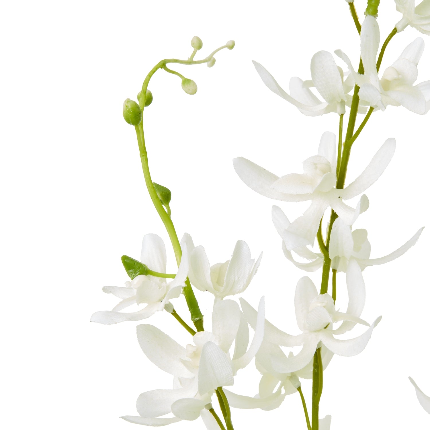 Lilac Cymbidium Spray