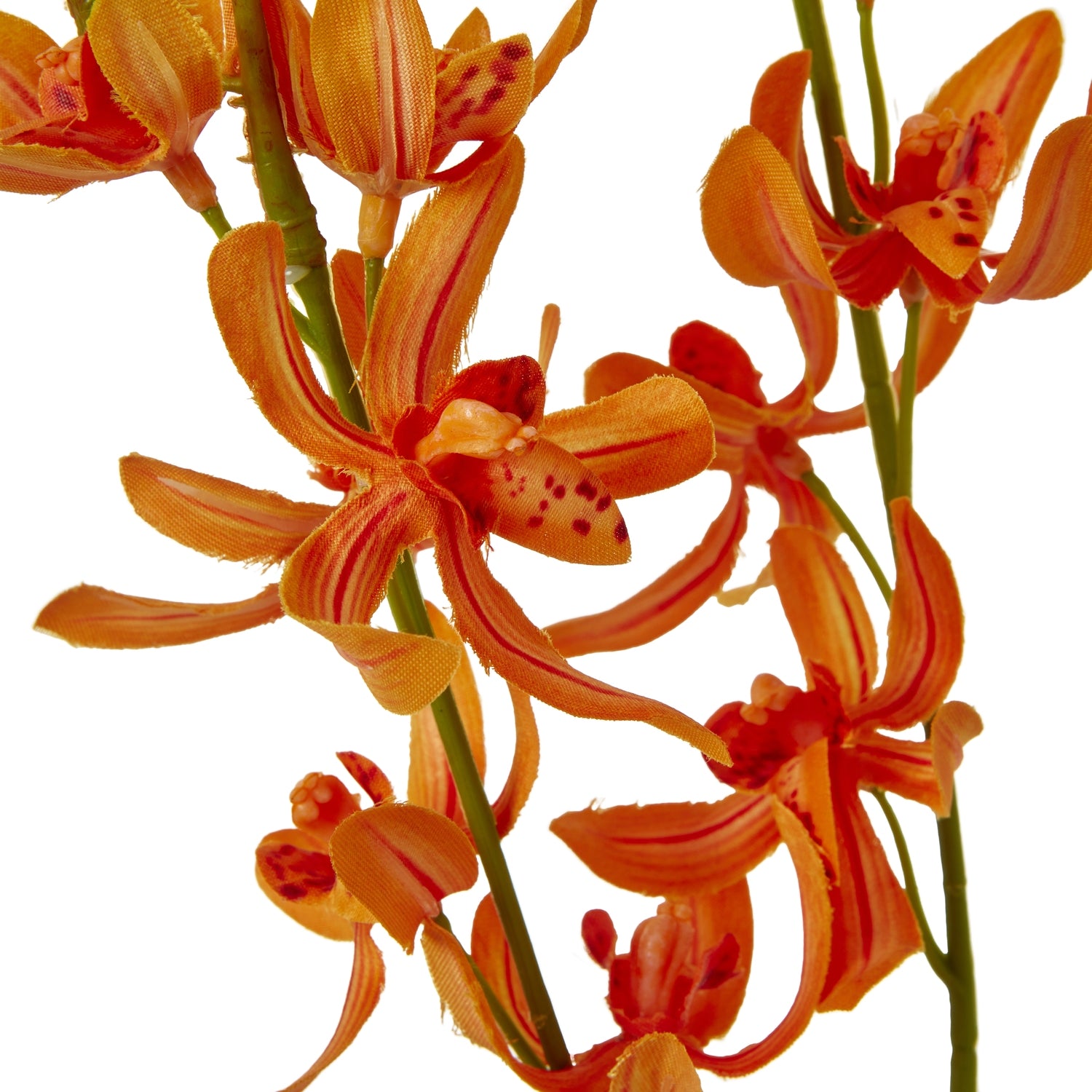 Lily Of The Valley Bunch