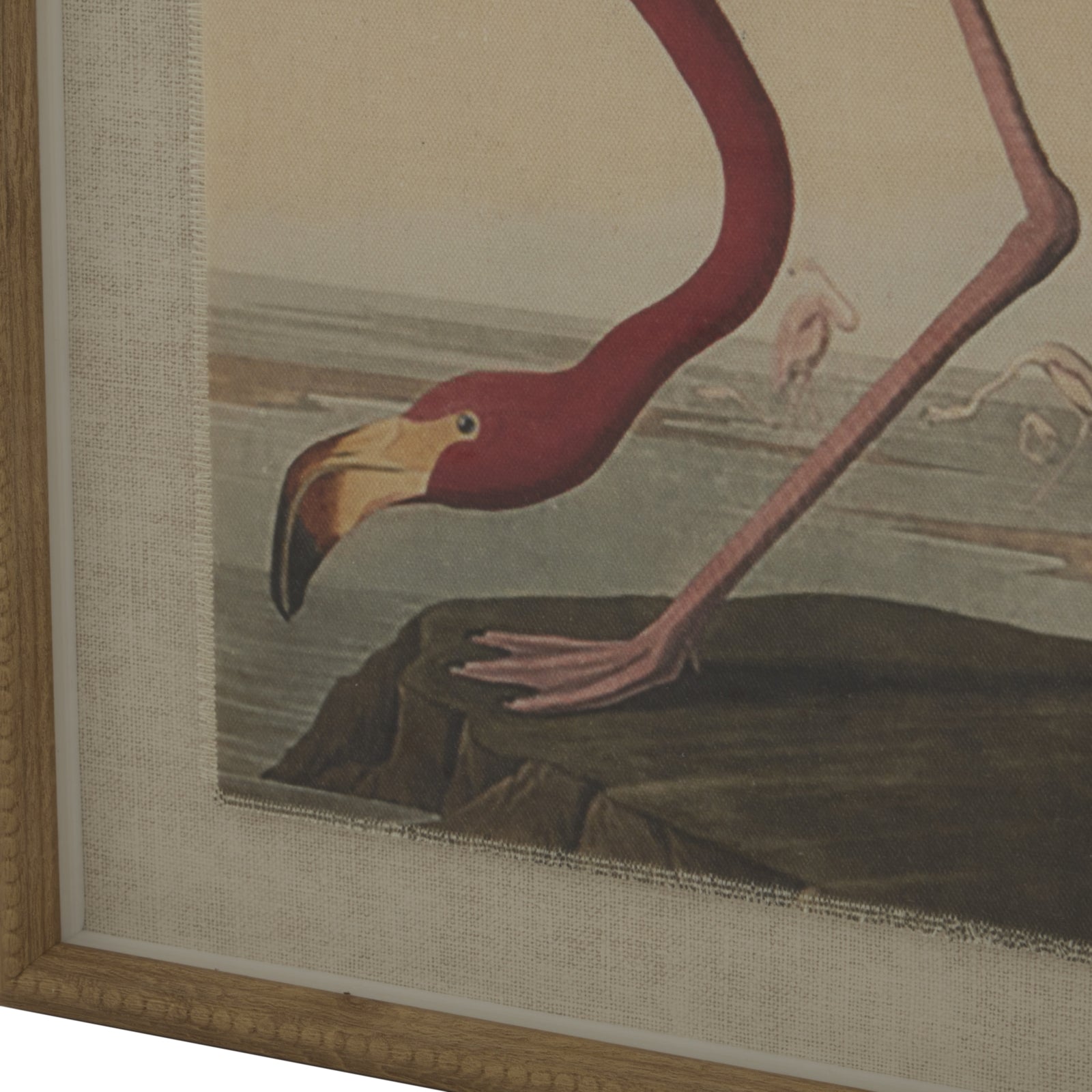 Flora & Fauna Collection Pochards On Linen In Beaded Frame
