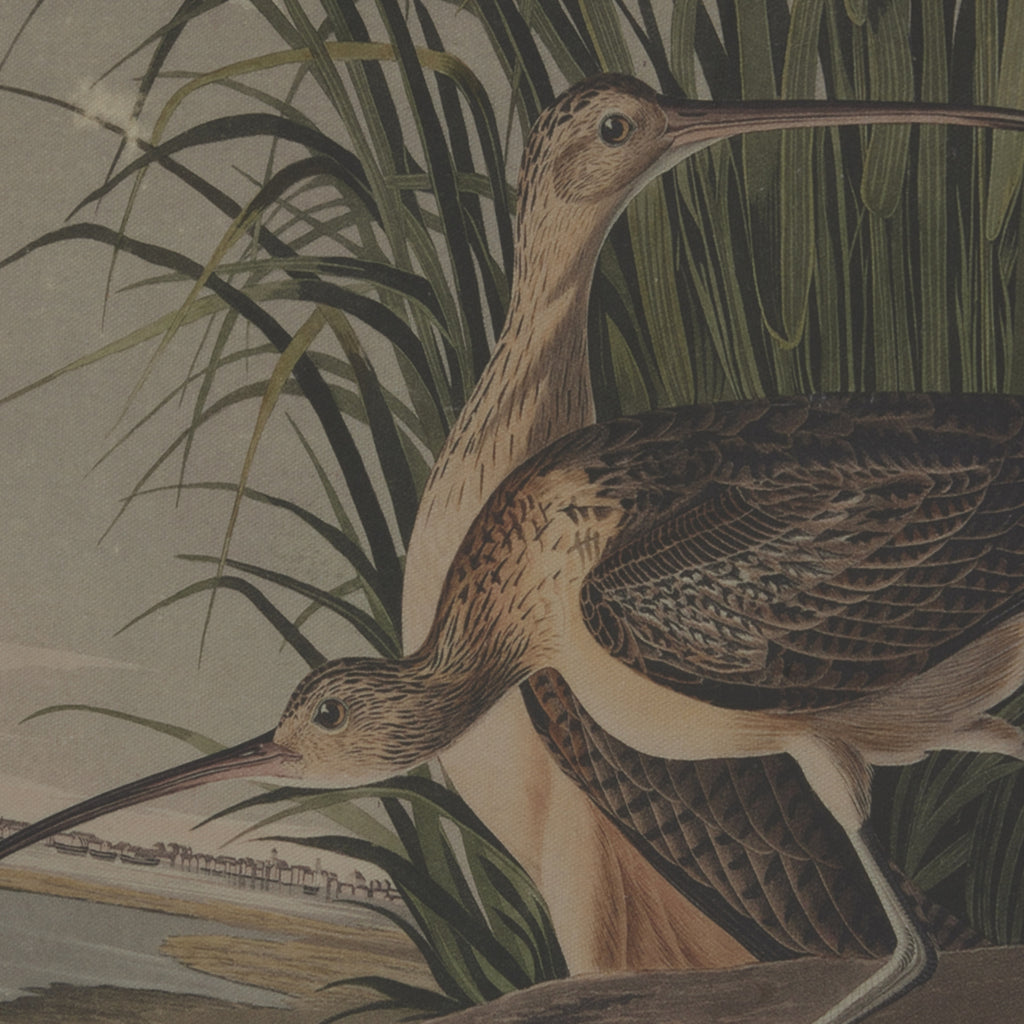 Flora & Fauna Collection Sandpipers On Linen In Beaded Frame
