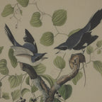 Flora & Fauna Collection Teals On Linen In Beaded Frame