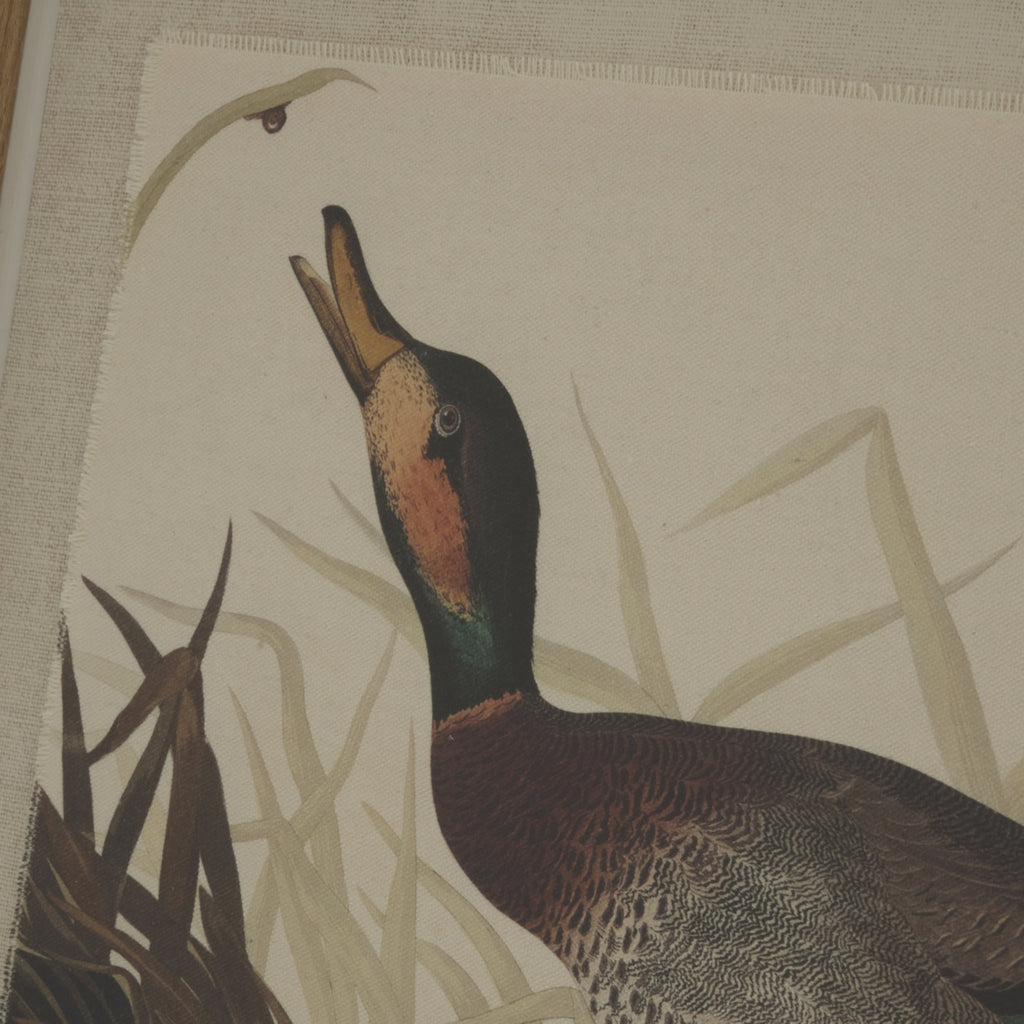 Flora & Fauna Collection Salvia On Linen In Beaded Frame