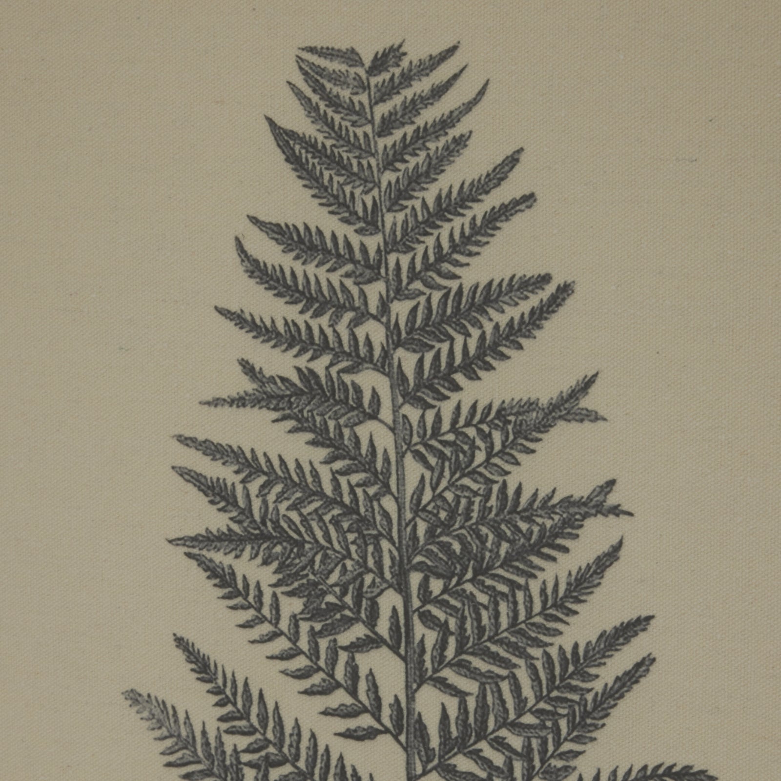 Flora & Fauna Collection Borage On Linen In Beaded Frame